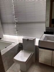 Angullia Park Residences @ Orchard (D10), Apartment #529312841